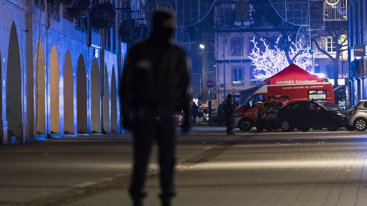 Soud poslal na 30 let do vězení muže kvůli útoku na vánoční trhy ve Štrasburku
